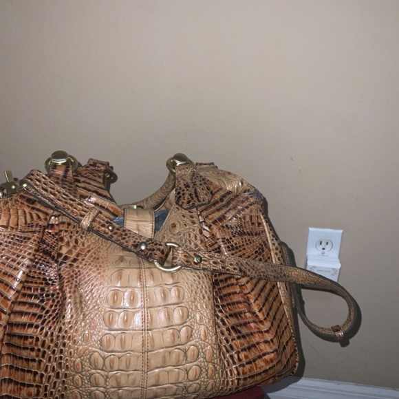 Brahmin - Picture 3 of 9